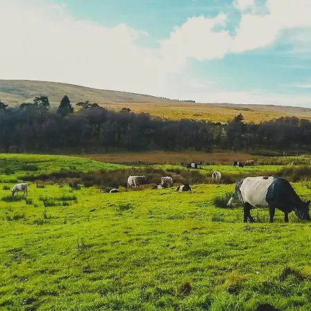 아파트 Nethergill Farm *