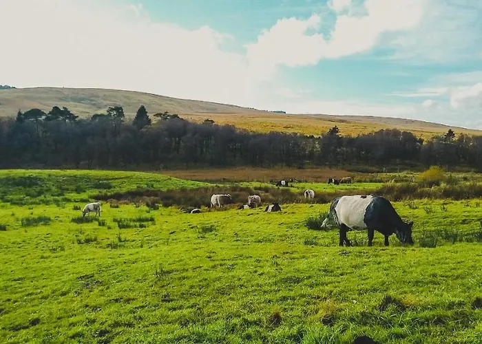 Apartman Nethergill Farm *